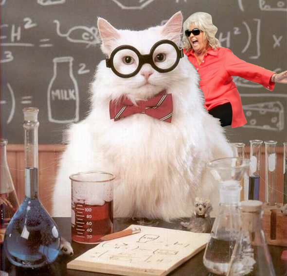 Paula deen riding a science cat