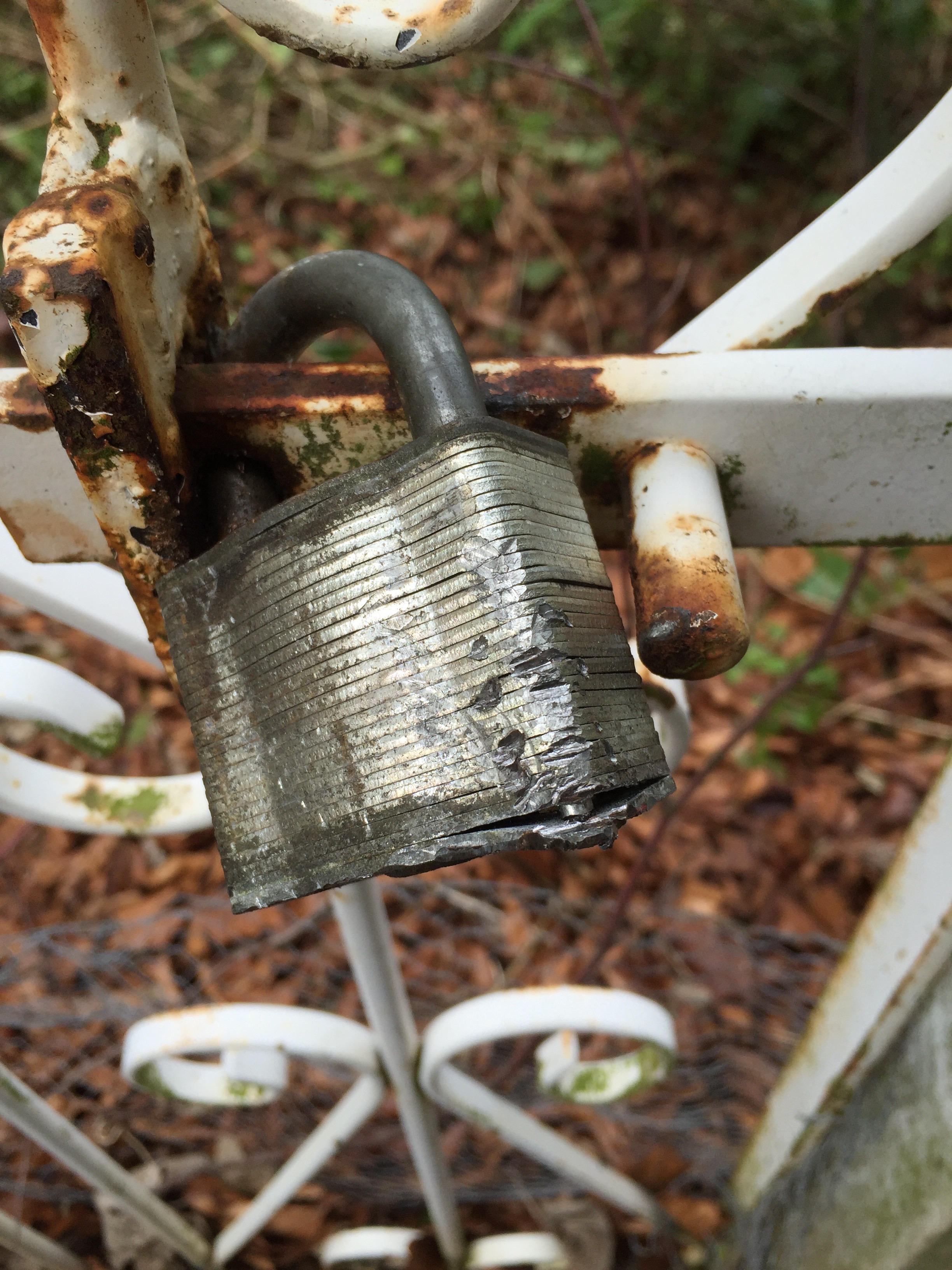 The bottom plate of the padlock revealed, lock mechanism removed